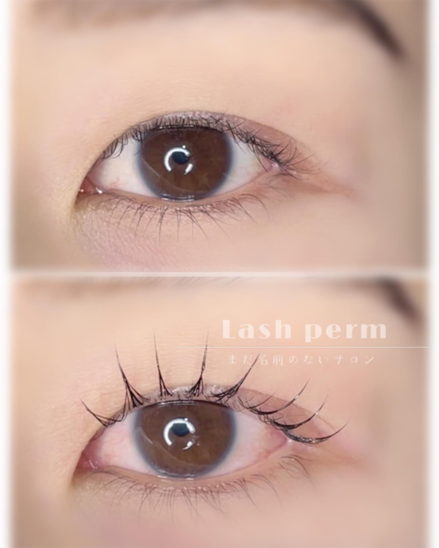 Lash Perm（ラッシュパーマ）